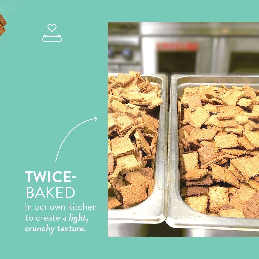 CRAFTED BY HUMANS LOVED BY DOGS Portland Pet Food Company – Golosinas para perros con caldo de carne (1 paquete, bolsa de 5 onzas), totalmente