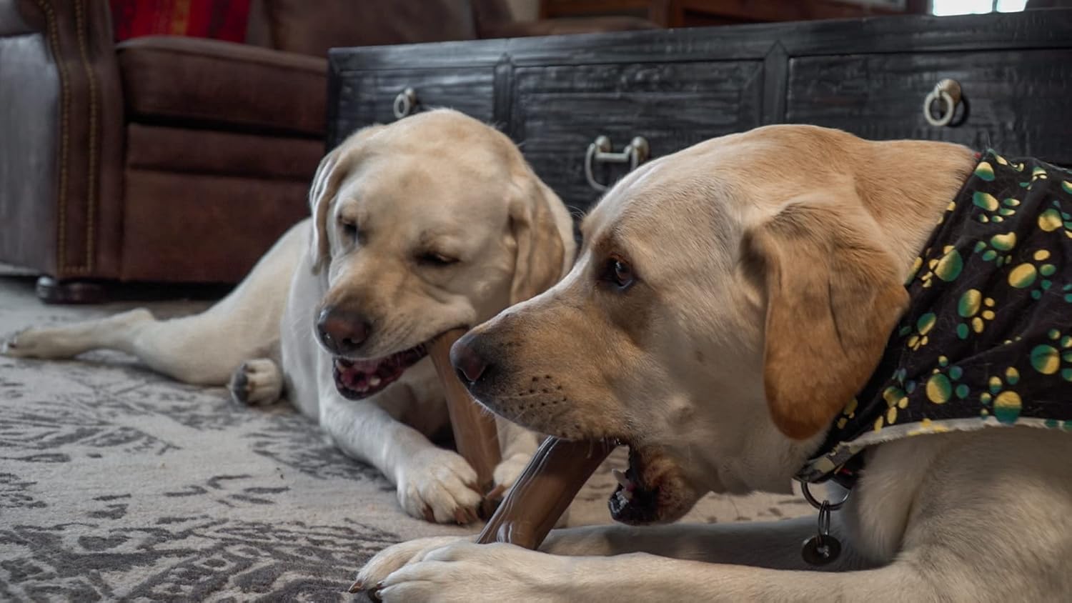Hero Bonetics Stick – Juguete masticable para perros con aroma a madera, suave para los dientes y el abdomen