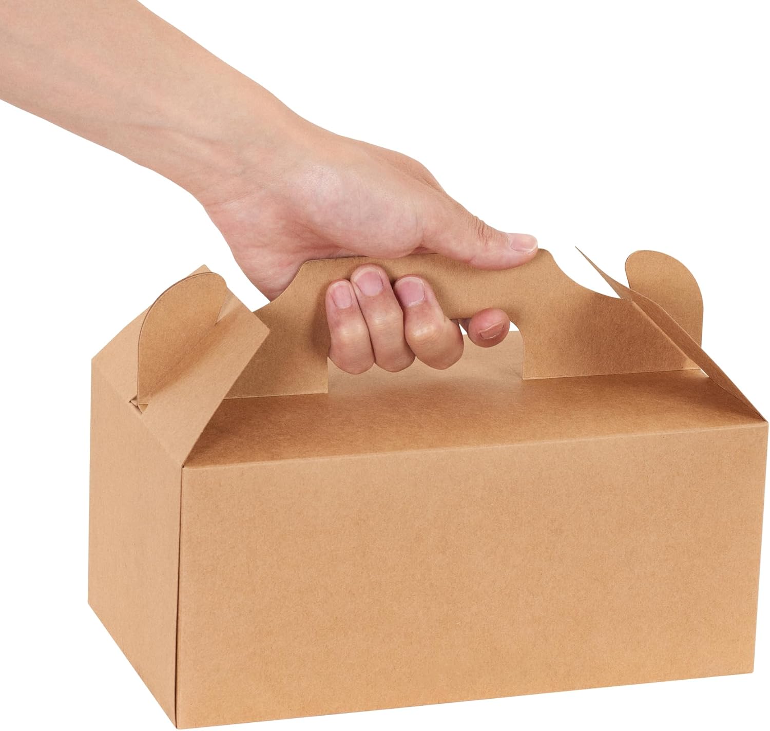 Restaurantware Bio Tek – Cajas de regalo de 10.2 x 5.9 x 6.9 pulgadas con asas, 100 cajas rectangulares a dos aguas, con pestaña segura, resistentes
