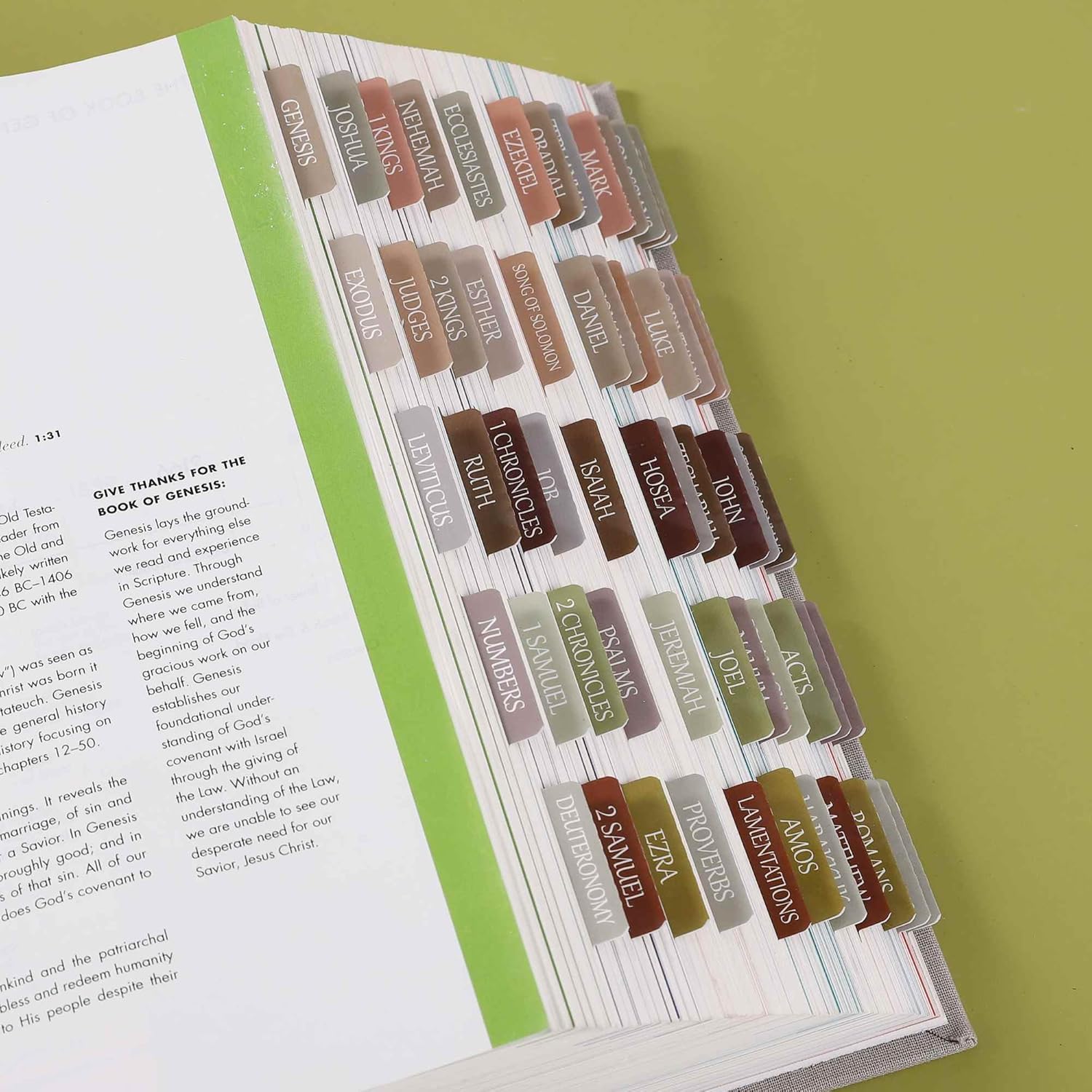 Pestañas laminadas de la Biblia, calcomanías de impresión grande de reposicionamiento, pestañas bíblicas fáciles de leer y aplicar para mujeres y