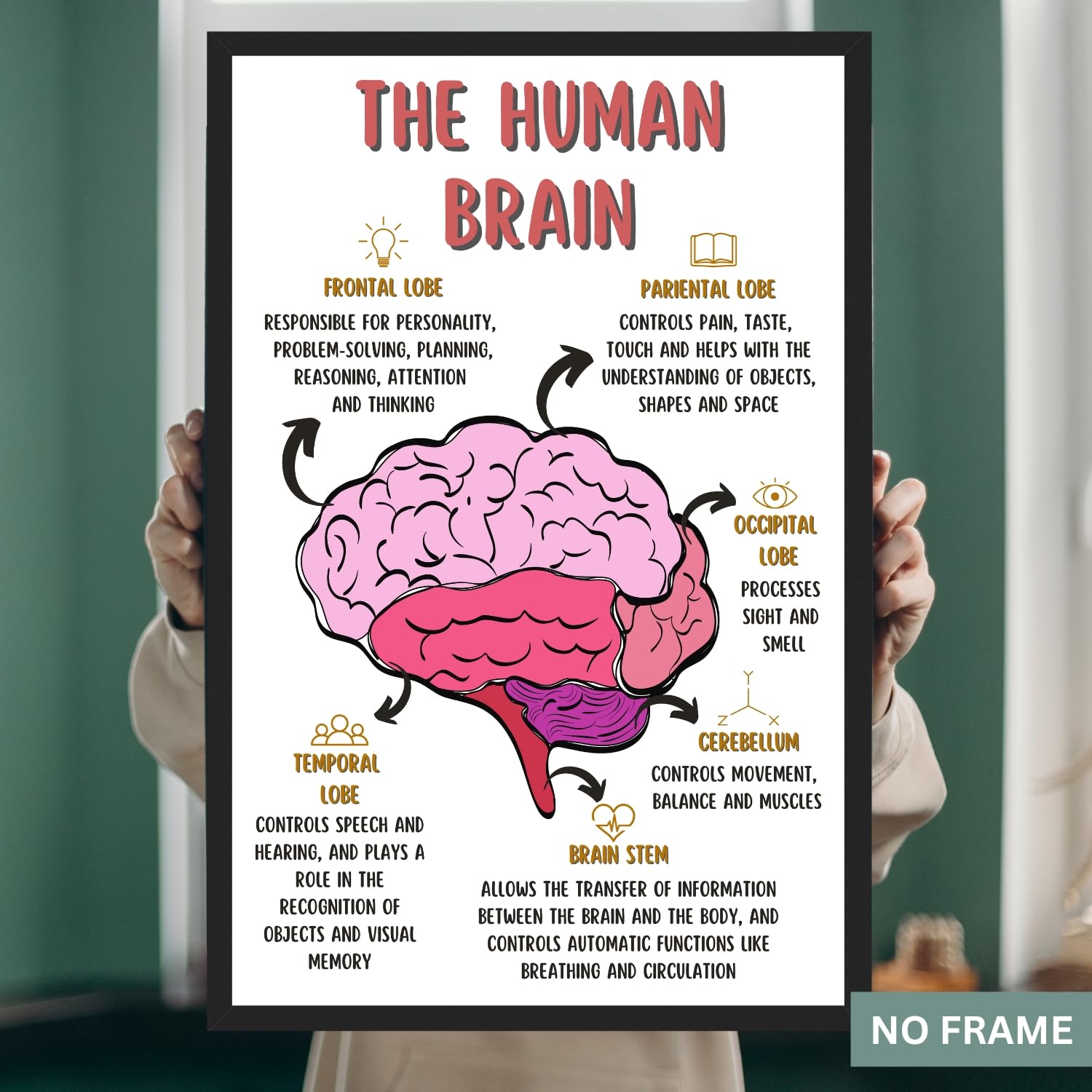 The Human Brain Poster, Mental Health Office Print, Therapy Decor Art, Therapist Psychologist Guidance Counselor Office Decor Wall Art – 11×17 in.