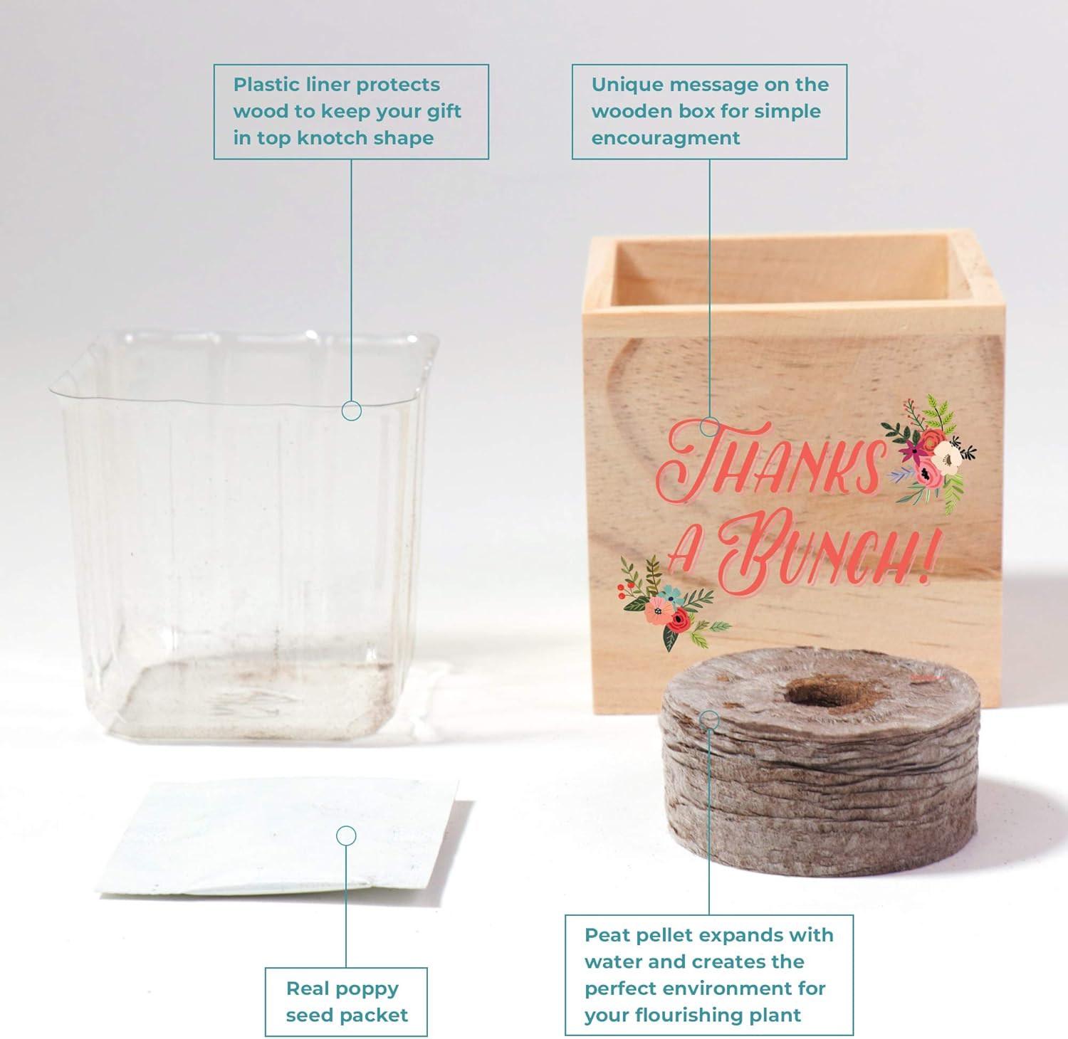 Cheersville – Planta en un cubo, incluye paquete de semillas de amapola, pellet de turba y maceta de madera de 3 pulgadas, regalo para agradecer a