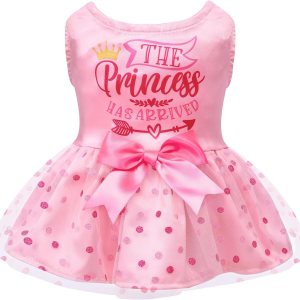 CuteBone Vestido de cumpleaños para niña, ropa de princesa, disfraz de gato, ropa para perros pequeños, traje de mascota DD20S CuteBone Vestido de cumpleaños para niña, ropa de princesa, disfraz de gato, ropa para perros pequeños, traje de mascota DD20S