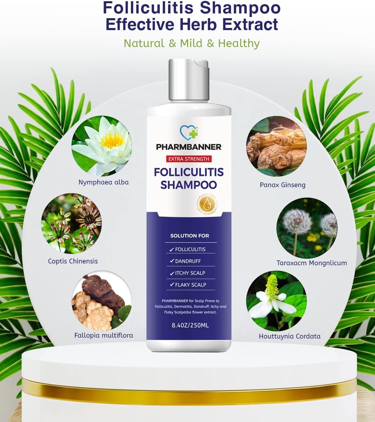 2 piezas de foliculitis, champú para dermatitis seborreica, champú anticaspaantifúngico, tratamiento de foliculitiscaspa, tratamiento de psoriasis