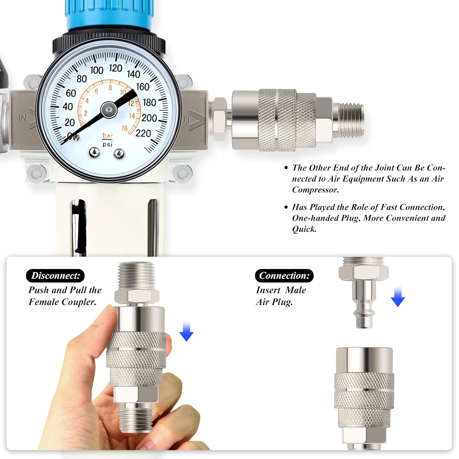TAILONZ PNEUMATIC 14 pulgada NPT 220 PSI Sistema de secado de aire de alta presión de drenaje semiautomático Filtro de aire de partículas, filtro de