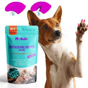 Pinzas de uñas para perros Antideslizantes para perros mayores, para evitar deslizarse en suelos duros, dos formas de uso, protector de patas de Pinzas de uñas para perros Antideslizantes para perros mayores, para evitar deslizarse en suelos duros, dos formas de uso, protector de patas de
