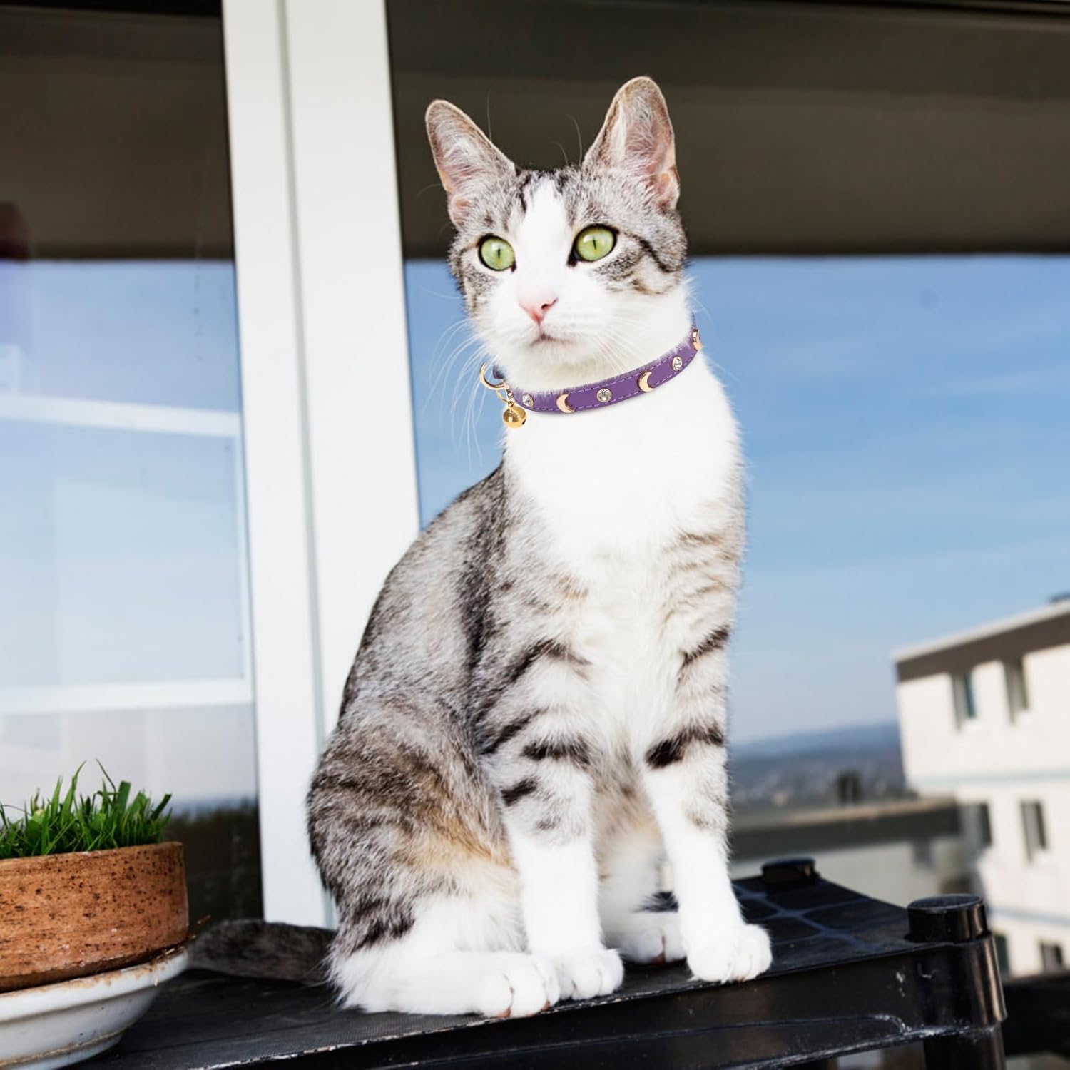 Collar de cuero para gatos con campana y correa de seguridad elástica, collares ajustables para gatitos para hembras, niños, gatos, cachorros,