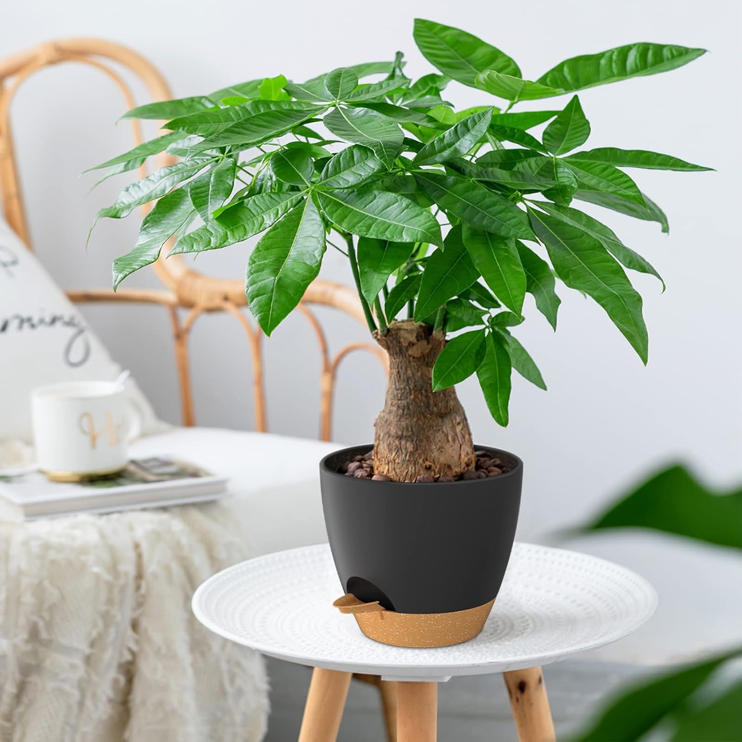 ZMTECH Juego de 2 macetas de 10 pulgadas para plantas de interior, macetas de riego automático con agujeros de drenaje y platillo para plantas de