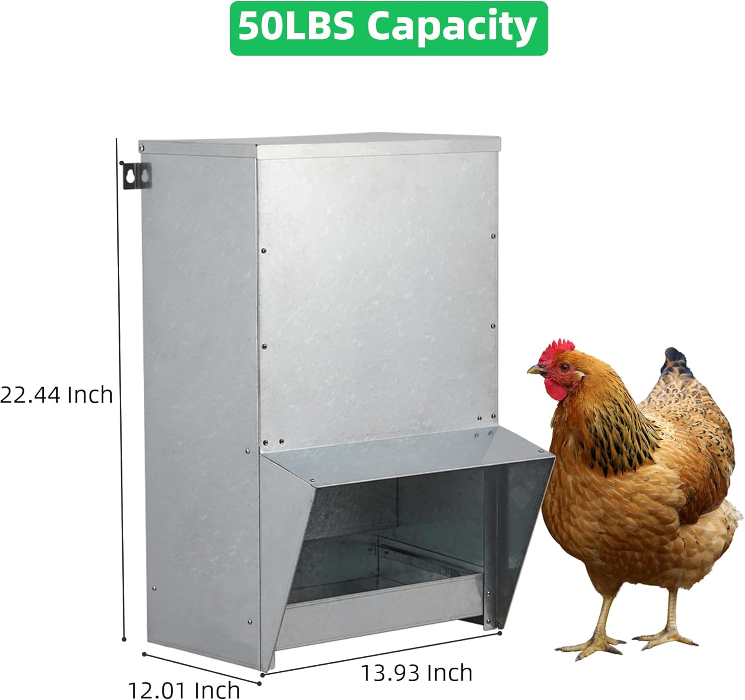 Domenow Comedero galvanizado para pollo, alimentador de aves de corral, alimentador automático de pollo de 50 libras con sistema de amortiguación