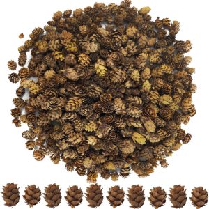 TIHOOD 320 minipiñas naturales de Navidad de 1.18 a 1.97 pulgadas a granel, adornos de piñas naturales de Navidad para manualidades, decoración del TIHOOD 320 minipiñas naturales de Navidad de 1.18 a 1.97 pulgadas a granel, adornos de piñas naturales de Navidad para manualidades, decoración del
