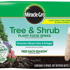 Miracle-Gro – Picos fertilizantes para árboles y arbustos, paquete de 12, paquete de 2 Miracle-Gro – Picos fertilizantes para árboles y arbustos, paquete de 12, paquete de 2