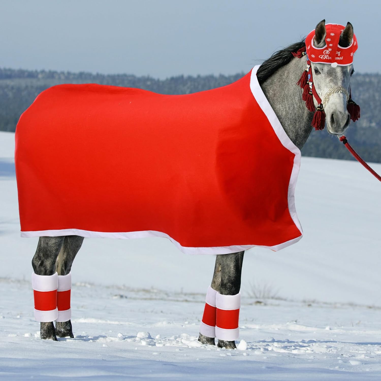 Cunno Paquete de 6 disfraces de Navidad de caballo que incluye funda halter de caballo con ribete de forro polar con 4 piezas de envolturas para