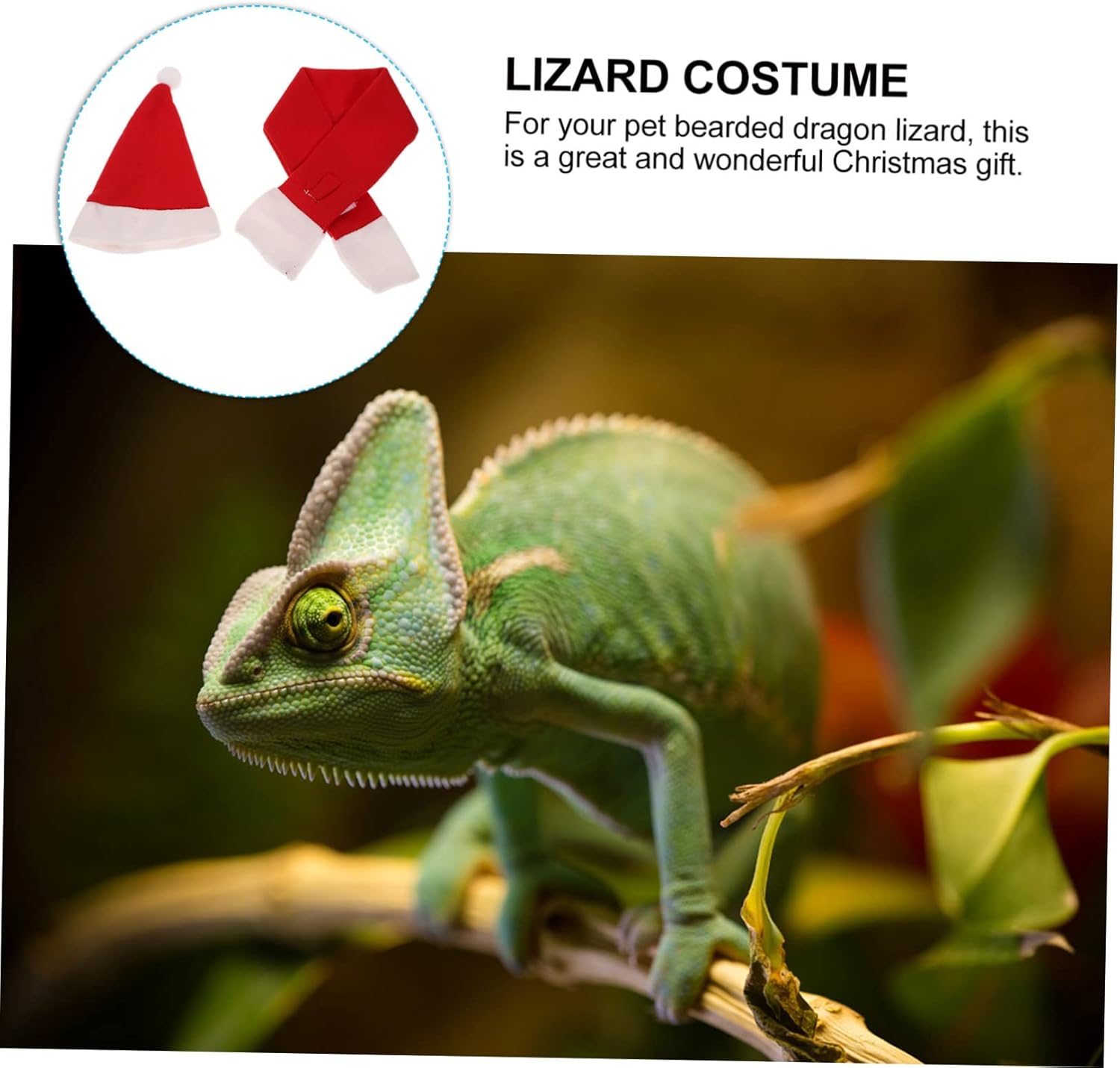 POPETPOP Bufanda de lagarto de dragón barbudo para disfraz de Navidad, correa de reptil para leopardo, Gecko, mascota, Papá Noel, gorra de dragón