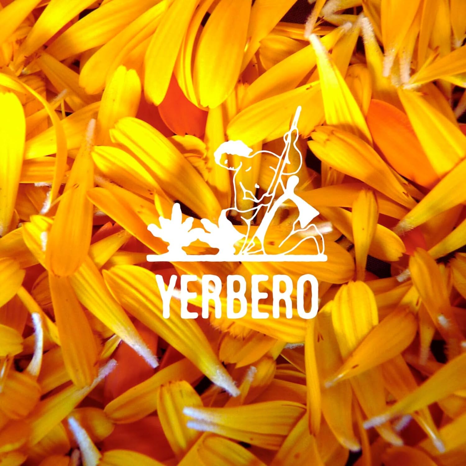 Yerbero – Flores de caléndula té de hierbas sueltas a granel 16oz (1 lb) (4.02 oz)  Flores de caléndula  Flores de caléndula  Para preparar té de