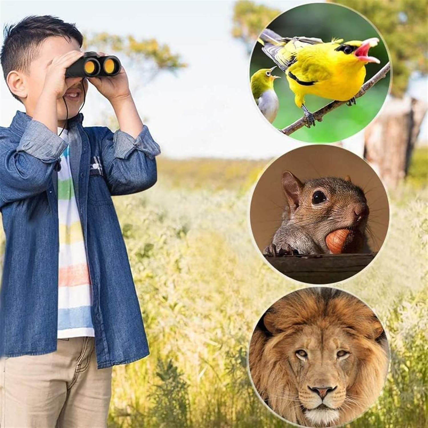 Binoculares de alta potencia para observación de aves  Binoculares pequeños de 30 x 60 pulgadas para adultos, binoculares de viaje para niños