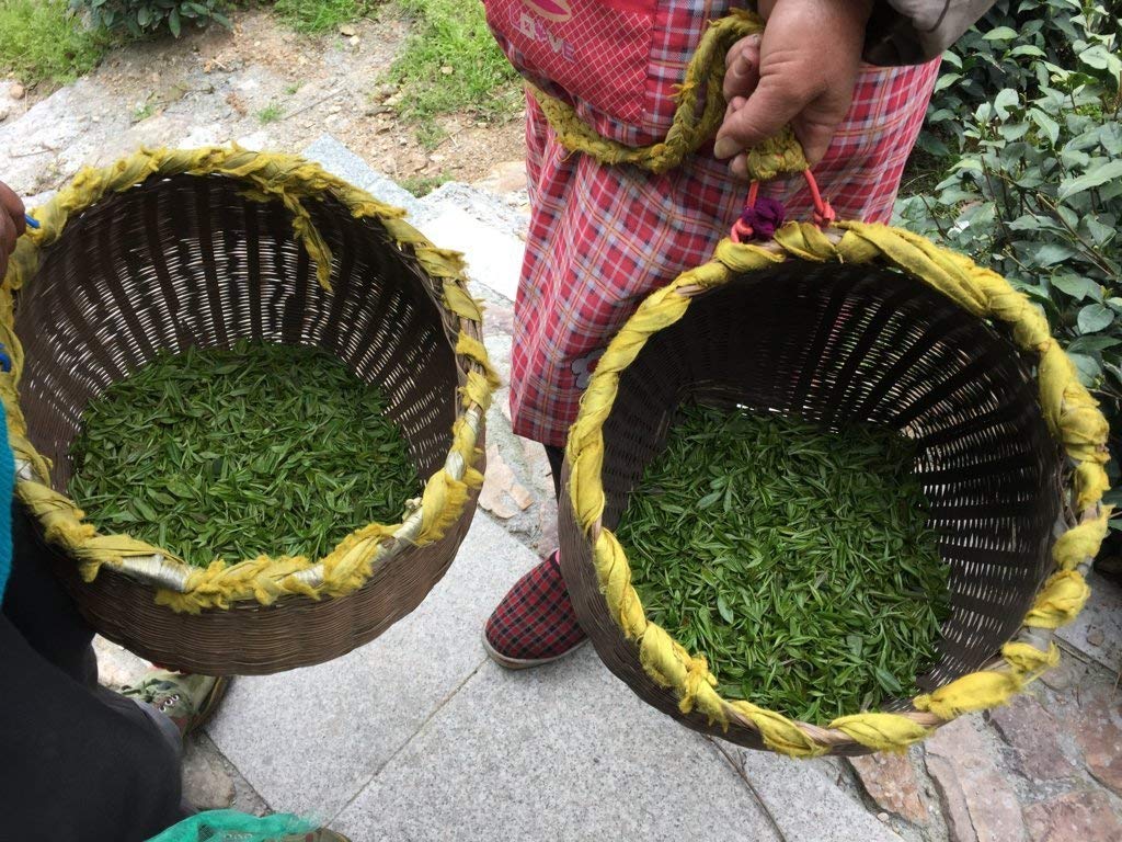 MeiMei Fine Teas Pre-Ming Long Jing Dragon Well Té verde  Té chino de hojas sueltas de origen verdadero  Cultivado orgánicamente  Alto antioxidante