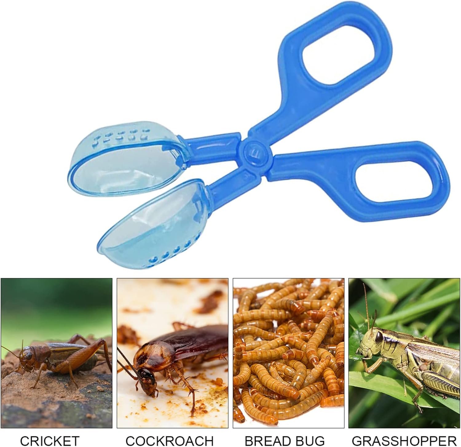 Herramienta de limpieza azul de alimentación de reptiles, herramienta de alimentación de anfibios, terrario, araña, grillo, abrazadera, 1 ud
