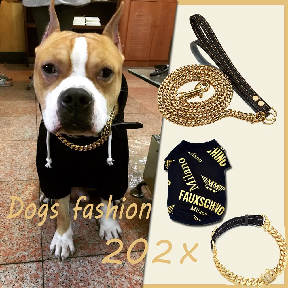 Juego de collar de perro y correa para perro de 0.748 in, oro de 18 quilates, acero inoxidable resistente, collar de entrenamiento de lujo,