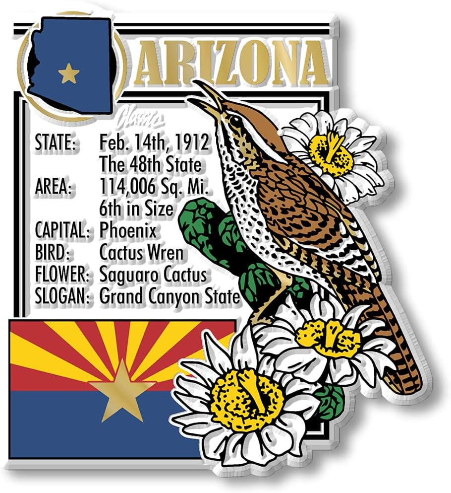 Juego de imanes de Arizona de seis piezas de Classic Magnets, incluye 6 diseños únicos, recuerdos coleccionables fabricados en los Estados Unidos