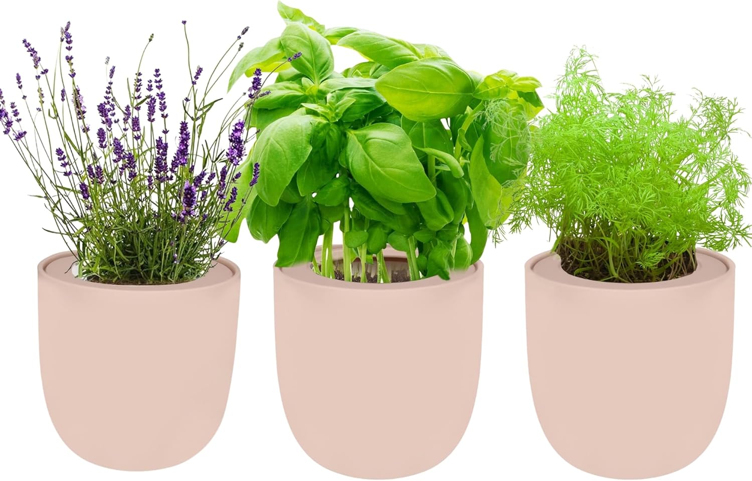 Environet Trío hidropónico para cultivo de hierbas, kit de inicio de jardín de hierbas de cocina con riego automático con maceta de cerámica rosa y