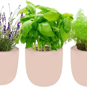 Environet Trío hidropónico para cultivo de hierbas, kit de inicio de jardín de hierbas de cocina con riego automático con maceta de cerámica rosa y Environet Trío hidropónico para cultivo de hierbas, kit de inicio de jardín de hierbas de cocina con riego automático con maceta de cerámica rosa y