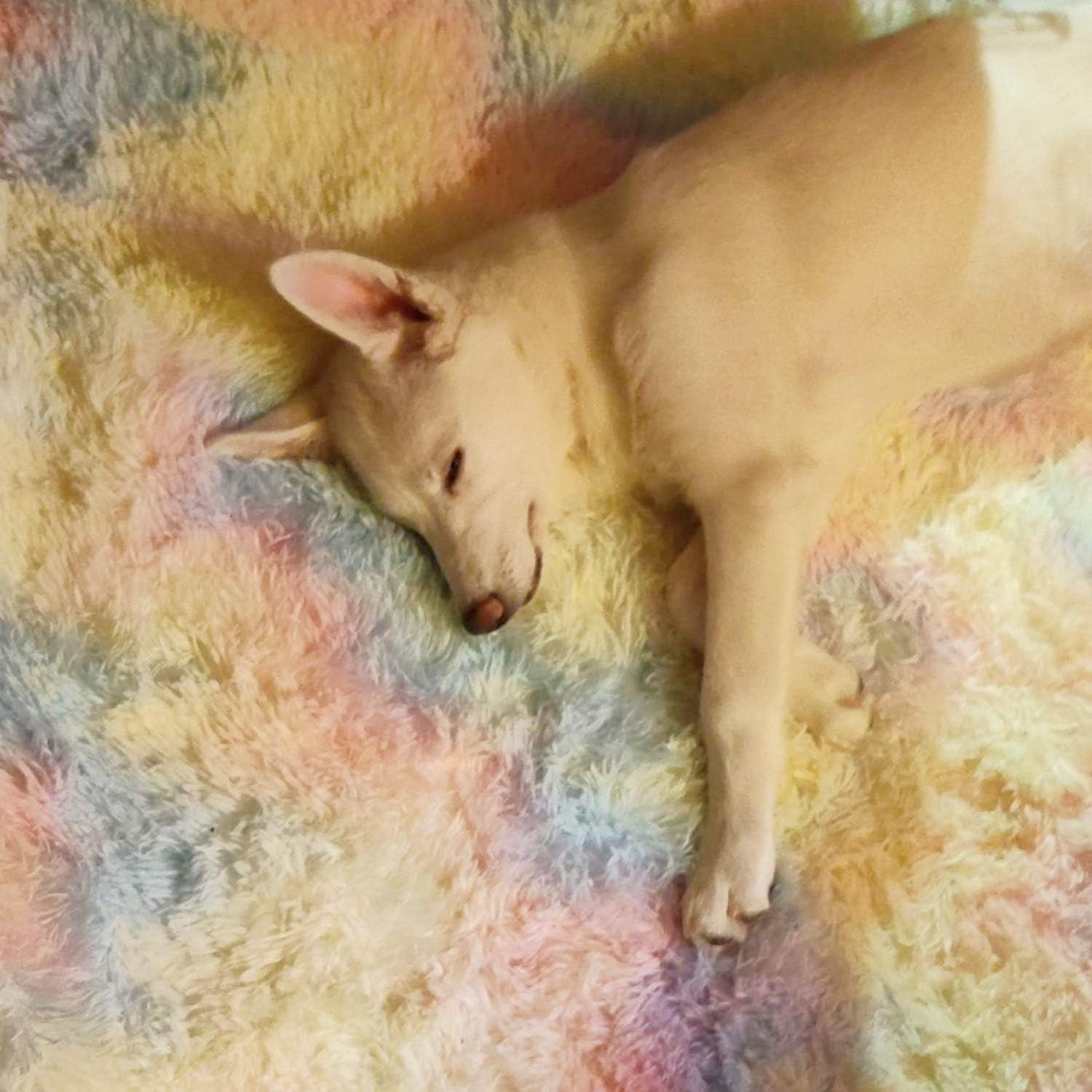 Alfombra suave de arco iris de 5 x 8pies, para sala de estar, alfombra grande, de felpa, mullida y cómoda para Navidad, día de Acción de Gracias