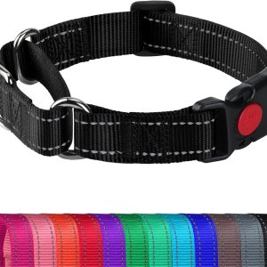 Joytale Collar Martingale para perros, collar reflectante resistente para seguridad, hebilla de liberación rápida, collares de nailon ajustables Joytale Collar Martingale para perros, collar reflectante resistente para seguridad, hebilla de liberación rápida, collares de nailon ajustables