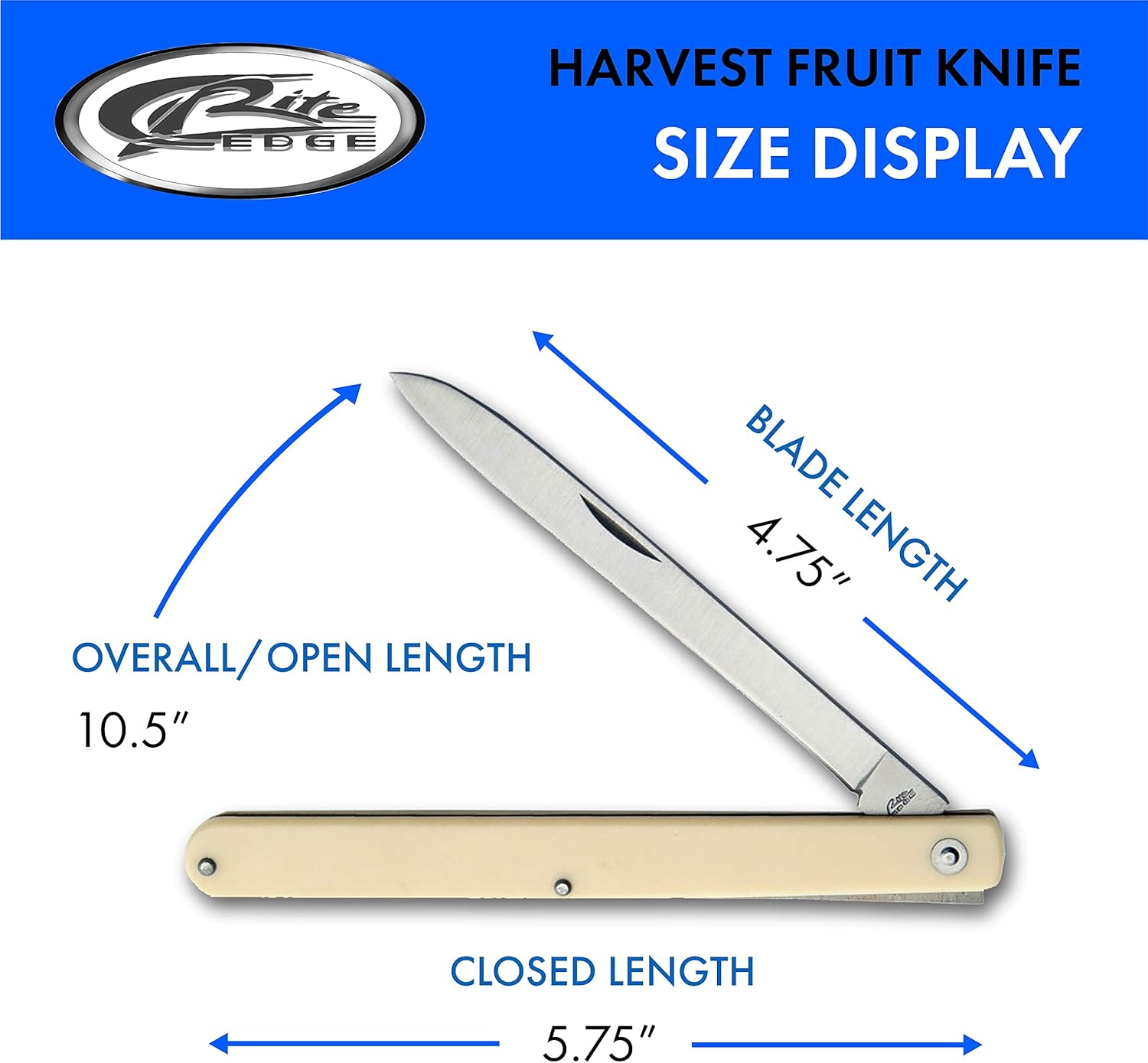 SZCO Supplies 210970 Alabaster Harvest Fruit Cuchillo plegable, acero inoxidable