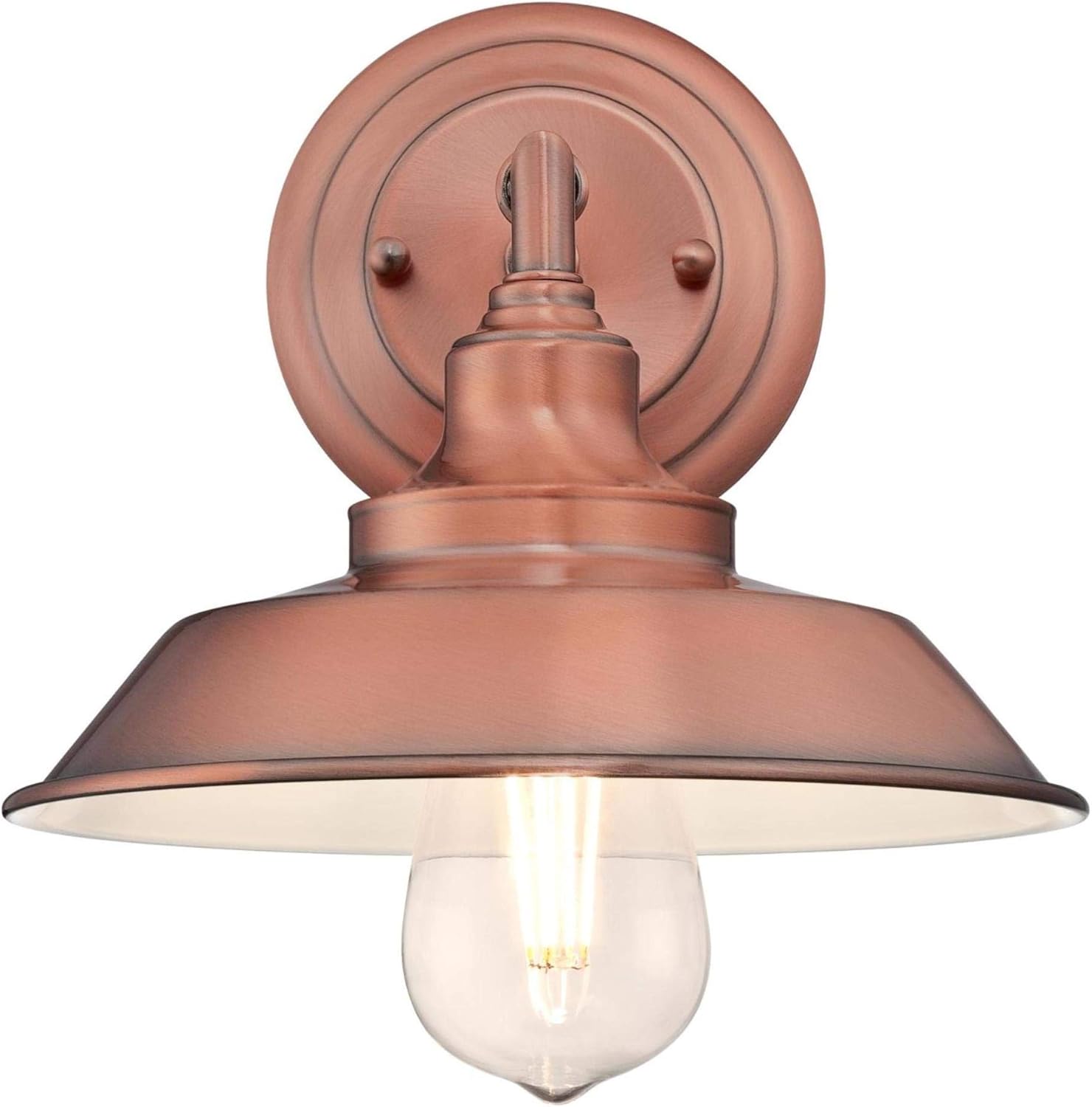 Westinghouse Lighting 6344700 – Lámpara de techo, diseño para un foco., 6370400