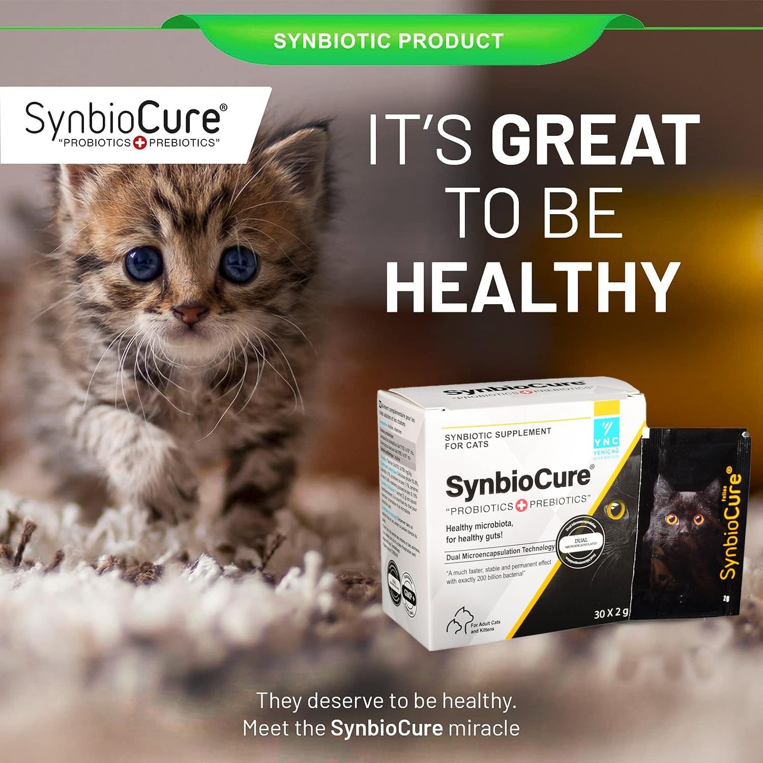 I Probióticos y prebióticos para gatos I Polvo Suplemento para gatos I Apoyo a la salud digestiva I 200 mil millones de bacterias por bolsita I 30