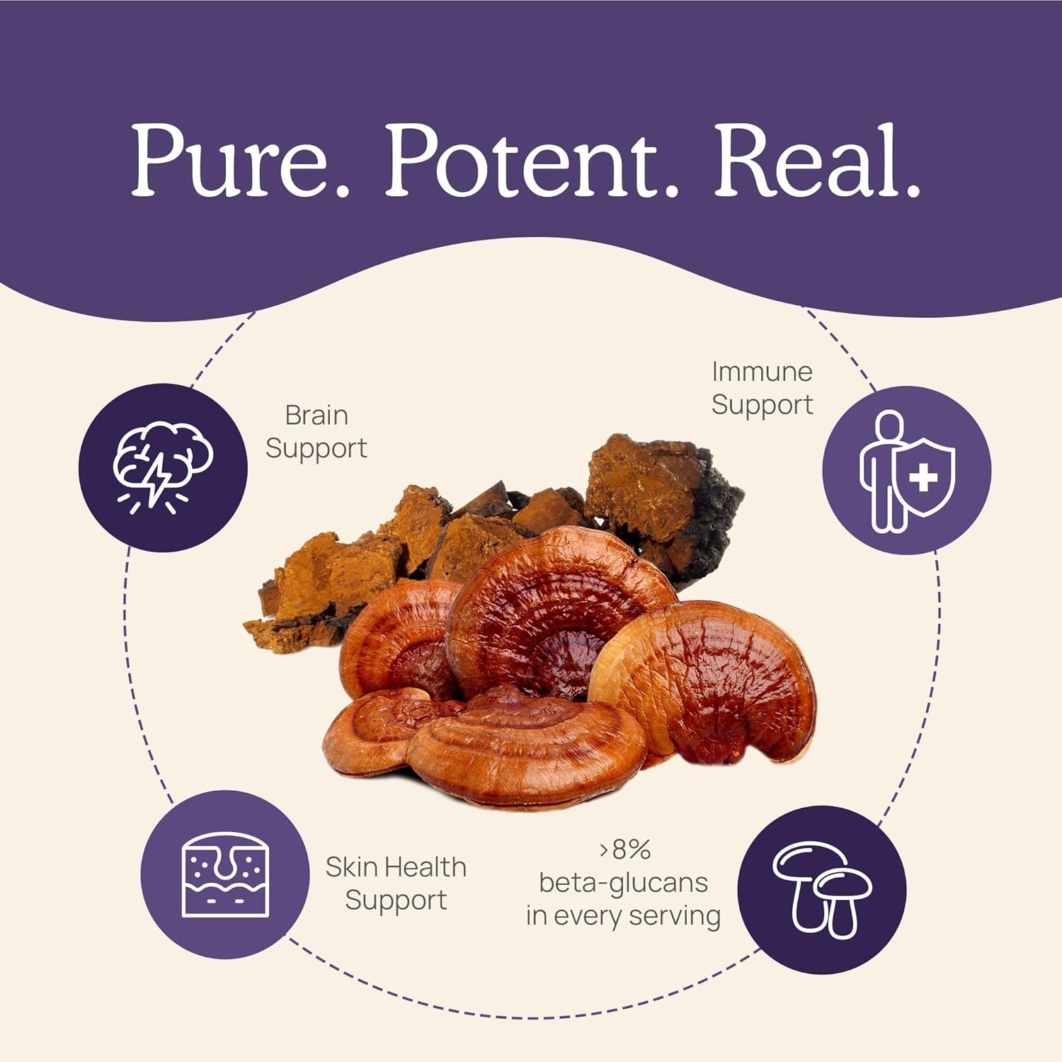 Real Mushrooms Paquete de vitamina D2, zinc, chaga, reishi (120 unidades) y cola de pavo (90 unidades)  Suplemento natural de fuerza inmunológica