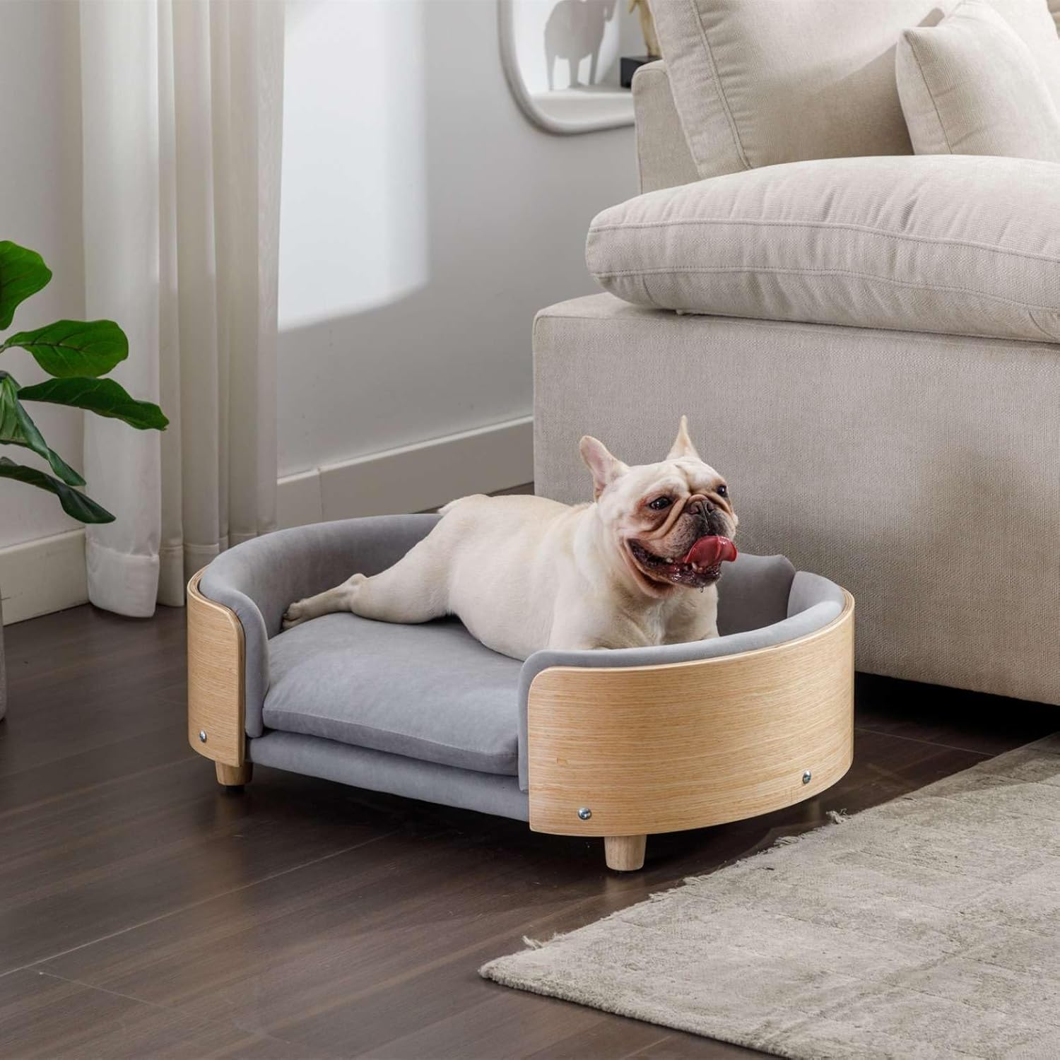 Cama de terciopelo para perro, sofá para mascotas con patas de madera maciza y respaldo de madera doblada, cojín resistente a las manchas en varios