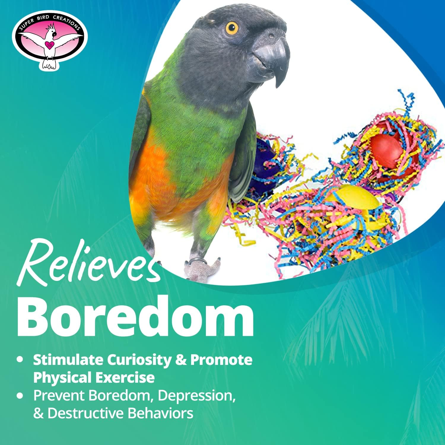 Super Bird Creations SB760 – Juego de 3 bolas de gofres para pájaros, varía