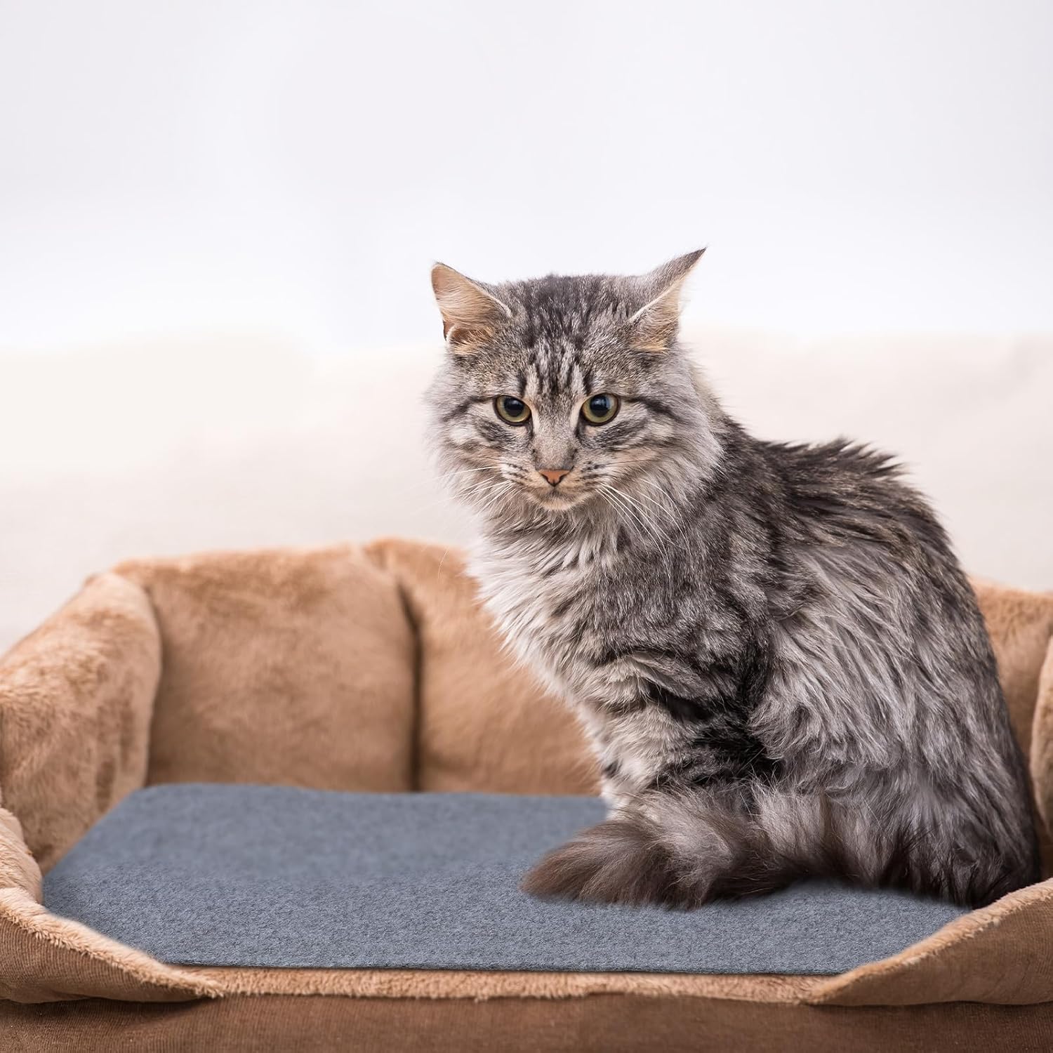 2 alfombrillas rascadoras para gatos de 24 x 16 pulgadas, alfombrilla rascador de gato horizontal con cinta adhesiva y 20 clavos de metal para