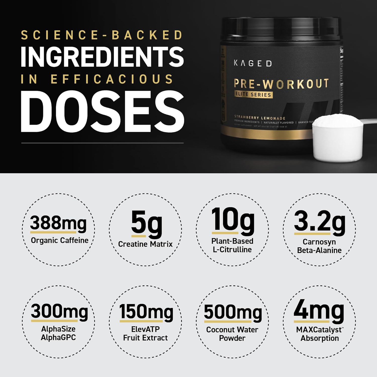 Kaged Polvo de preentrenamiento Elite para hombres y mujeres, alto estimulante para energía, concentración, bombas  L-citrulina, beta alanina,