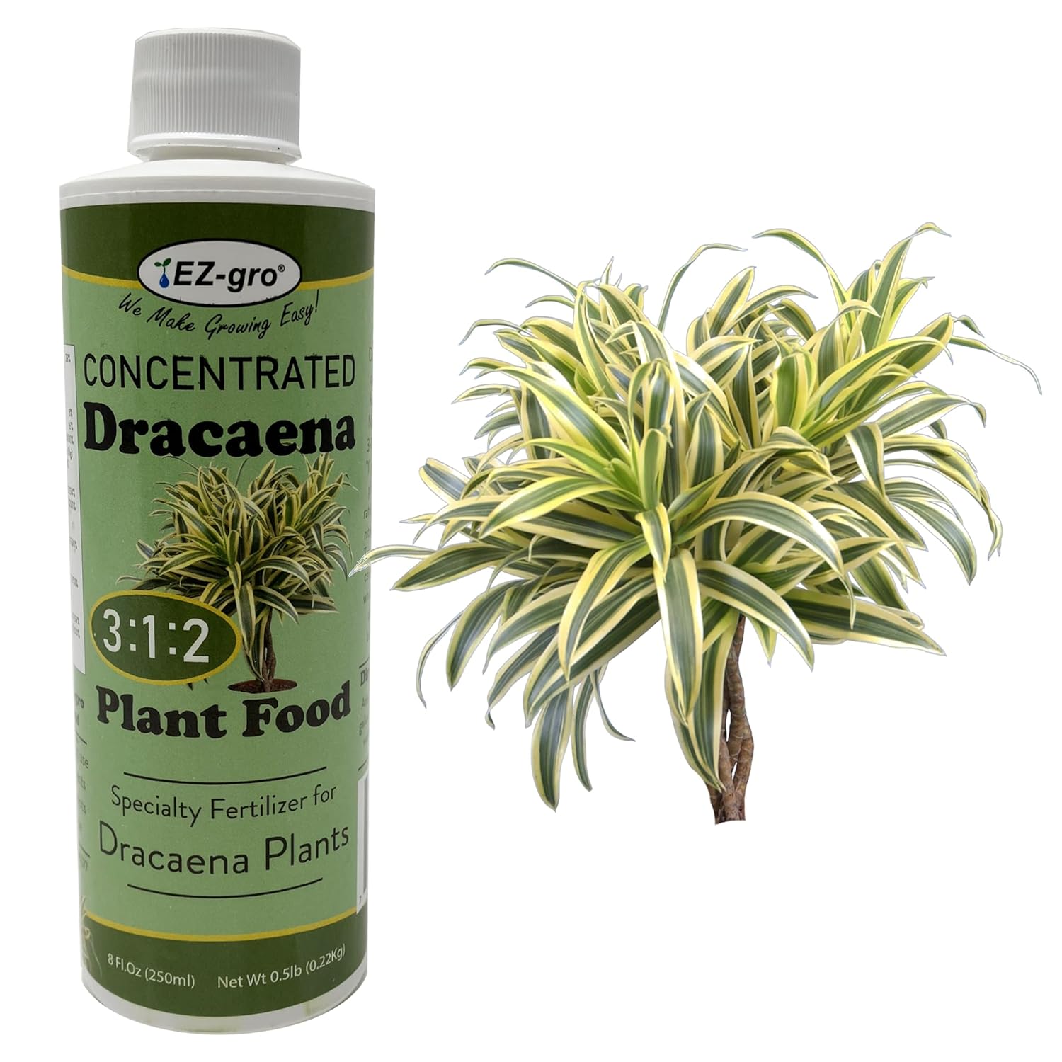 EZ-gro – Fertilizante líquido profesional de Dracaena  Proporción 312 de fertilizante concentrado para plantas de interior Dracaena  8 onzas