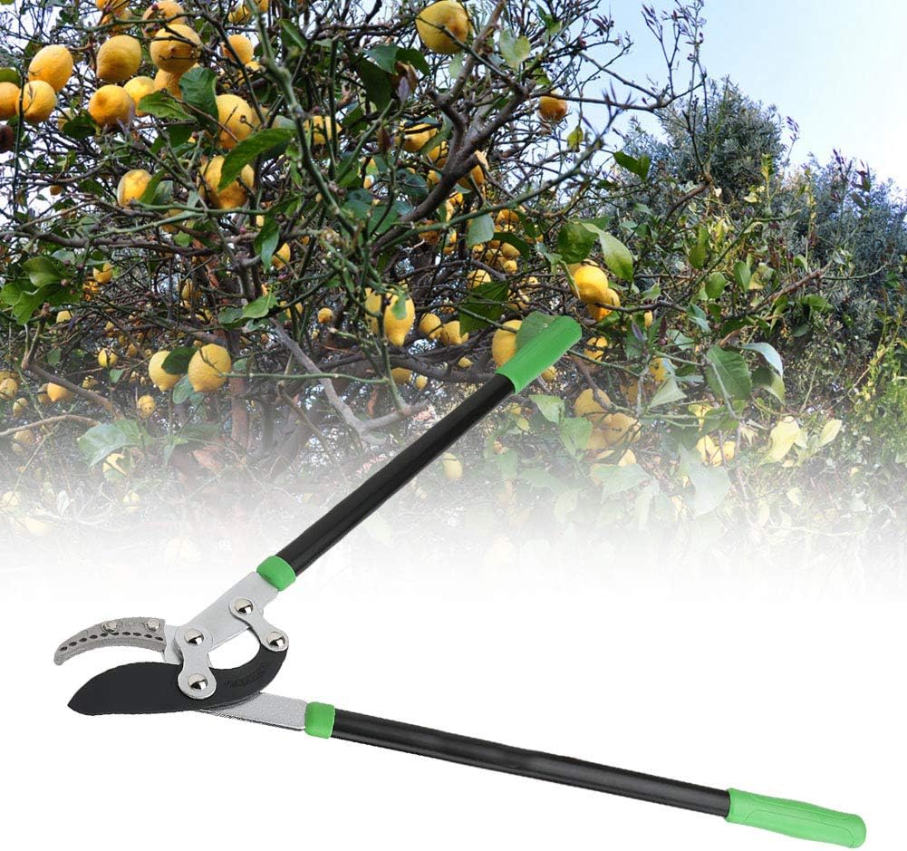 Fydun Large Force Garden Scissor Thick Tree Pruning Shears Bra Cutter Orchard Gardening Tool Large Force Garden Scissor for Family