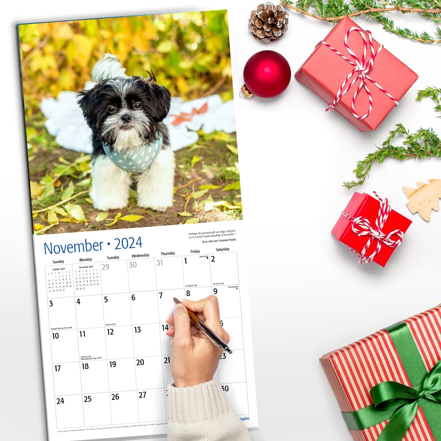 RED EMBER Shih Tzu Puppies – Calendario mensual de pared colgante 2024, 12 x 24 pulgadas, abierto, papel grueso y resistente, para regalo, lindo