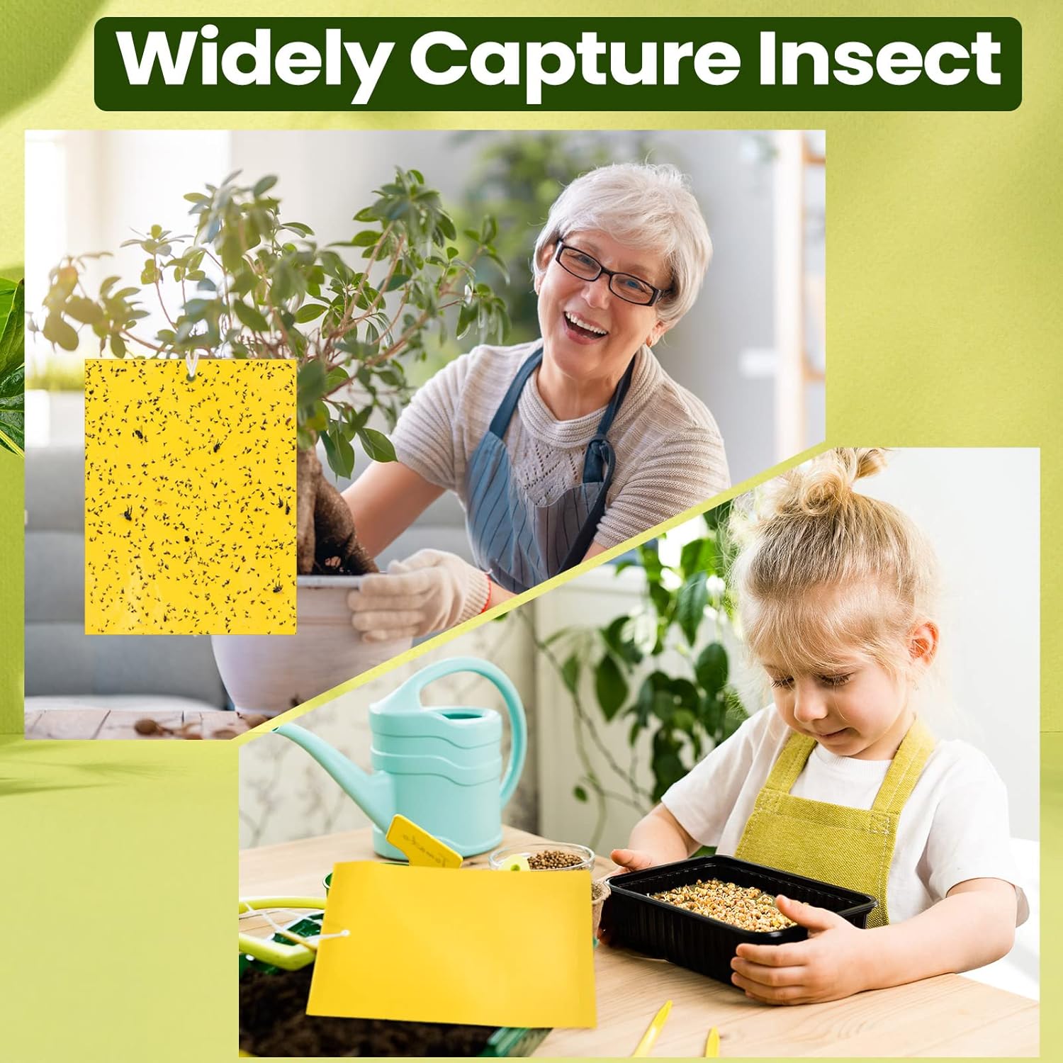 500 trampas adhesivas de doble cara para plantas voladoras, insectos como moscas blancas, pulgones, 6 x 8 pulgadas, trampas adhesivas para mosquitos