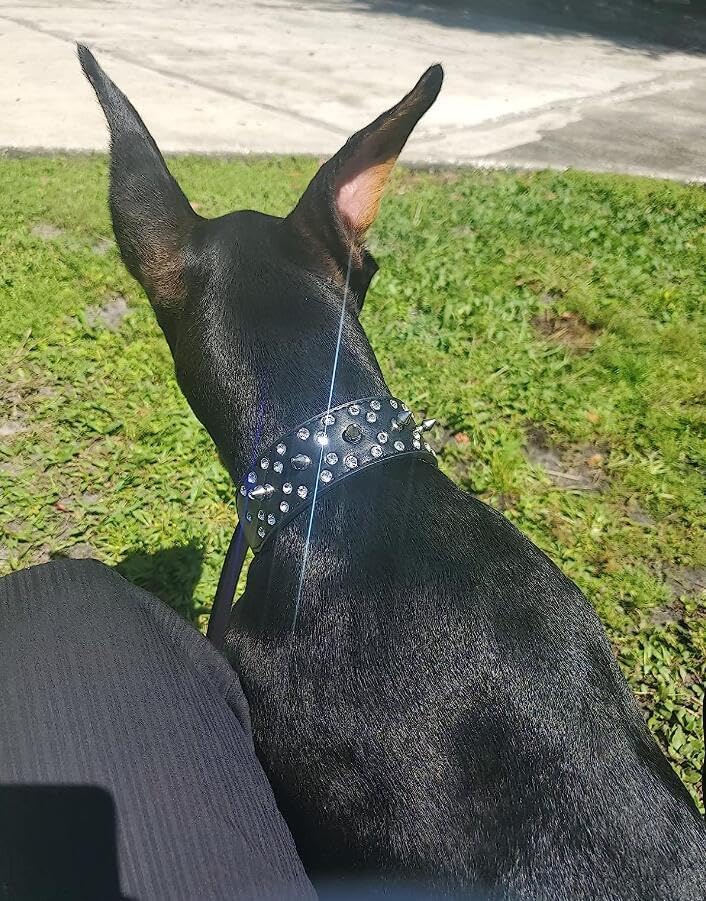 Collar de perro de piel sintética con diamantes de imitación, suave y ajustable para perros medianos y grandes (S, rosa intenso)