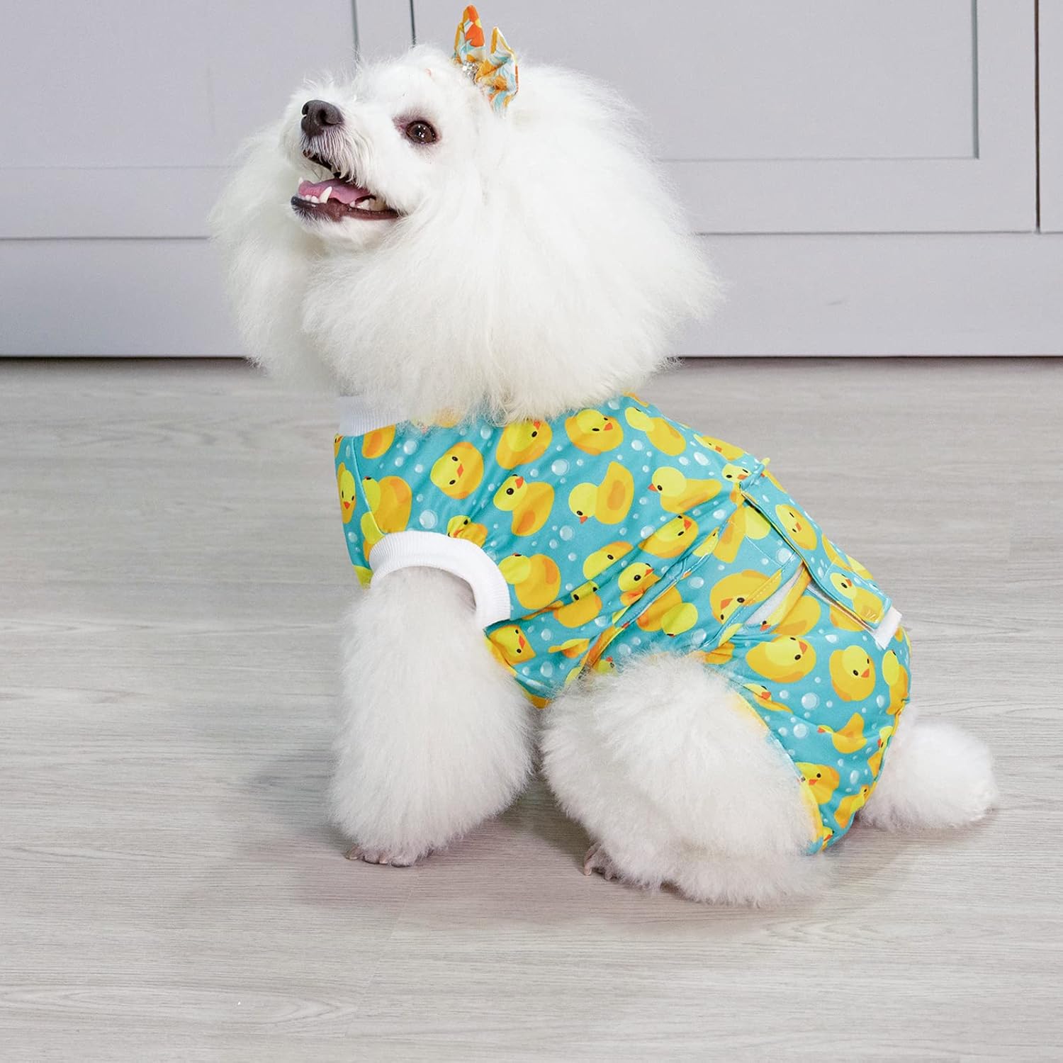 CuteBone Traje de recuperación de cirugía para perros, enterizo quirúrgico para gatos, trajes de cuerpo femenino, trajes de cuerpo masculino para