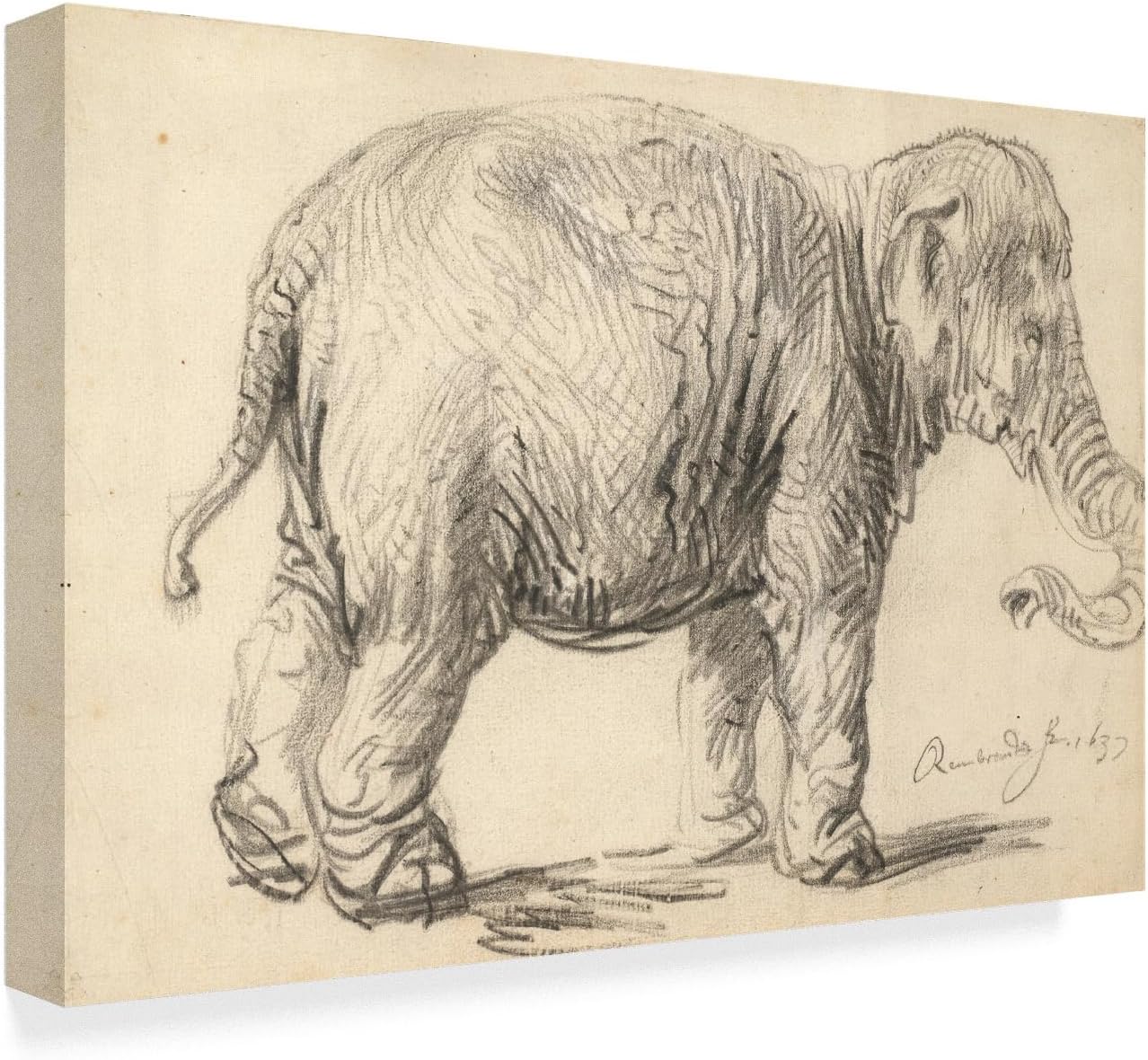 Rembrandt ‘Un elefante, 1637’ – Lienzo decorativo