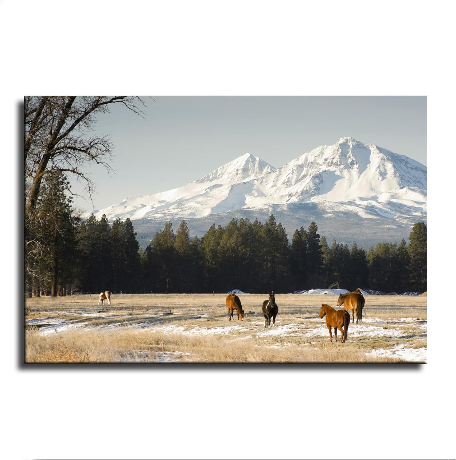 Ranch Horses Póster de ganado en cascada de montañas, Oregon United, pintura decorativa, lienzo, pósteres de pared e imagen artística moderna para