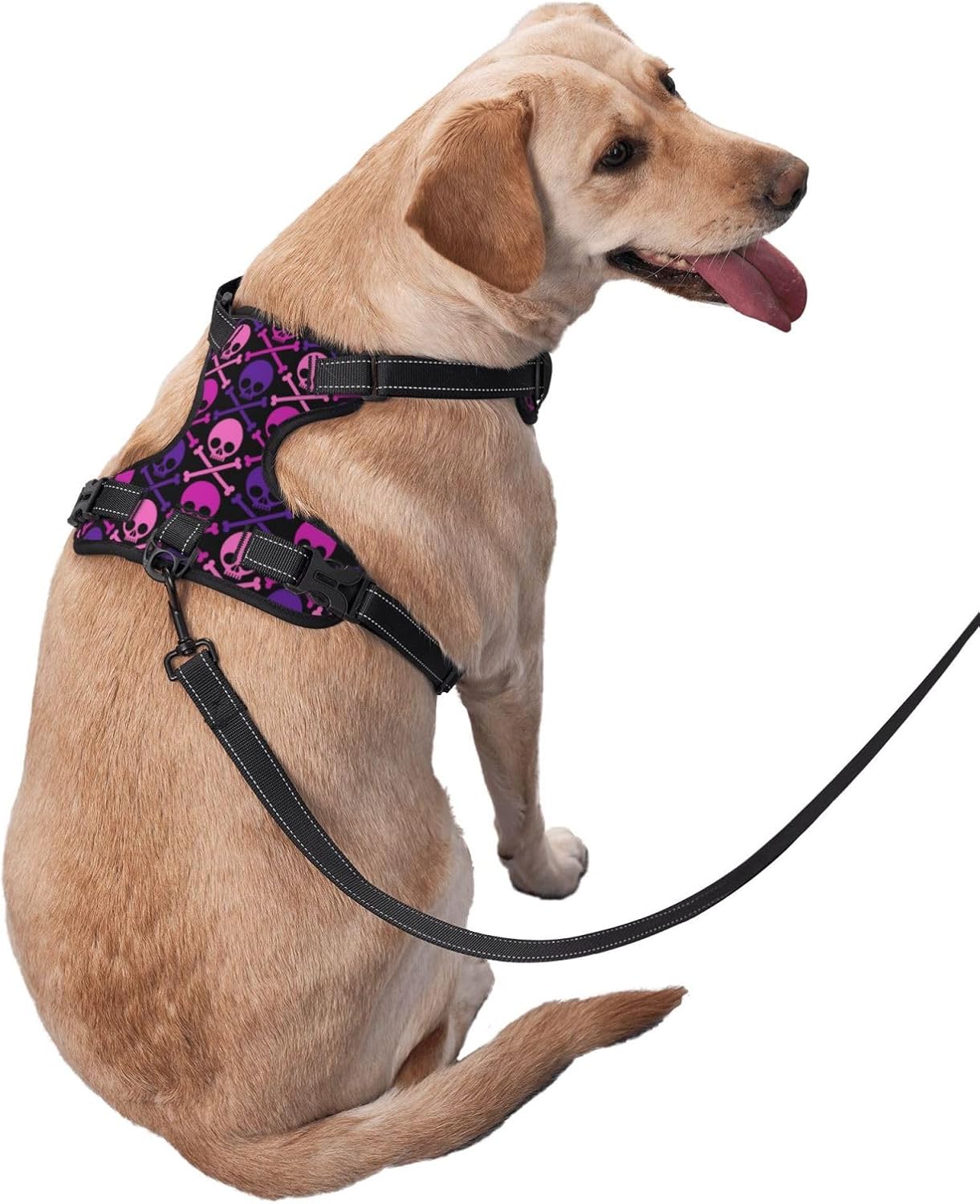 Arnés transpirable para perro con diseño de calavera cruzada morado y rosa, arnés para perro sin estrangulamiento, arnés para perro para caminar al