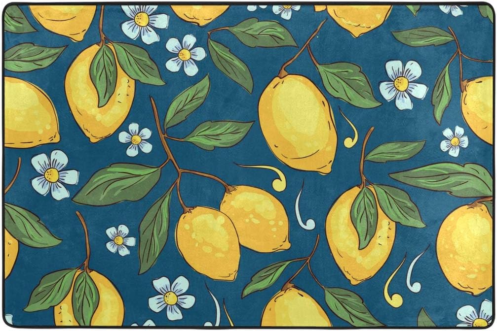 ALAZA – Tapete para puerta de interior y exterior, antideslizante, suave, lavable, color amarillo y azul marino, 1 unidad, 24 x 36 pulgadas