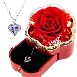 TIANFU Regalos para mamá para el día de la madre, rosa real preservada con collar para mujer, flores eternas, regalos de rosas para mamá, esposa, TIANFU Regalos para mamá para el día de la madre, rosa real preservada con collar para mujer, flores eternas, regalos de rosas para mamá, esposa,