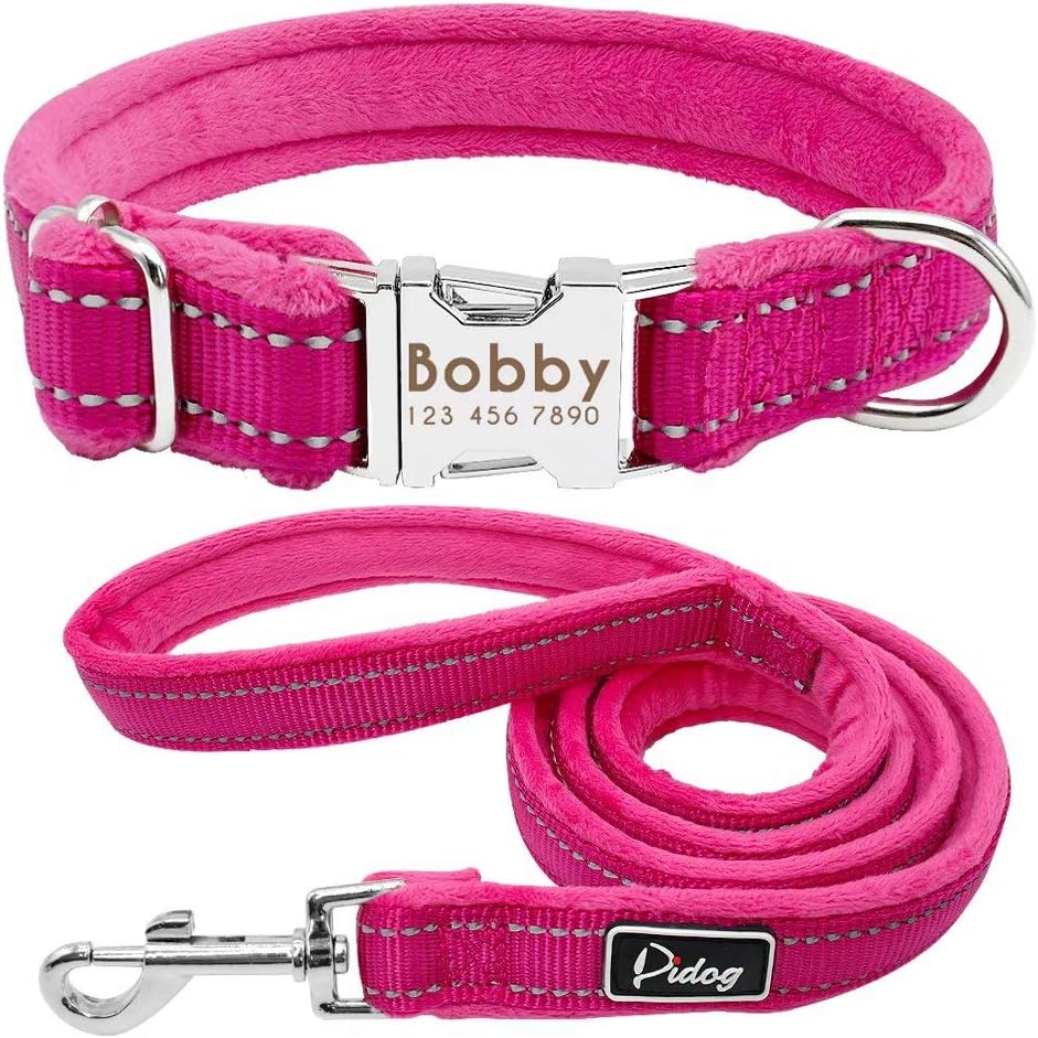 Didog Juego de collar y correa para perro personalizado y suave con relleno de franela, collar reflectante grabado con correas de 4 pies para perros