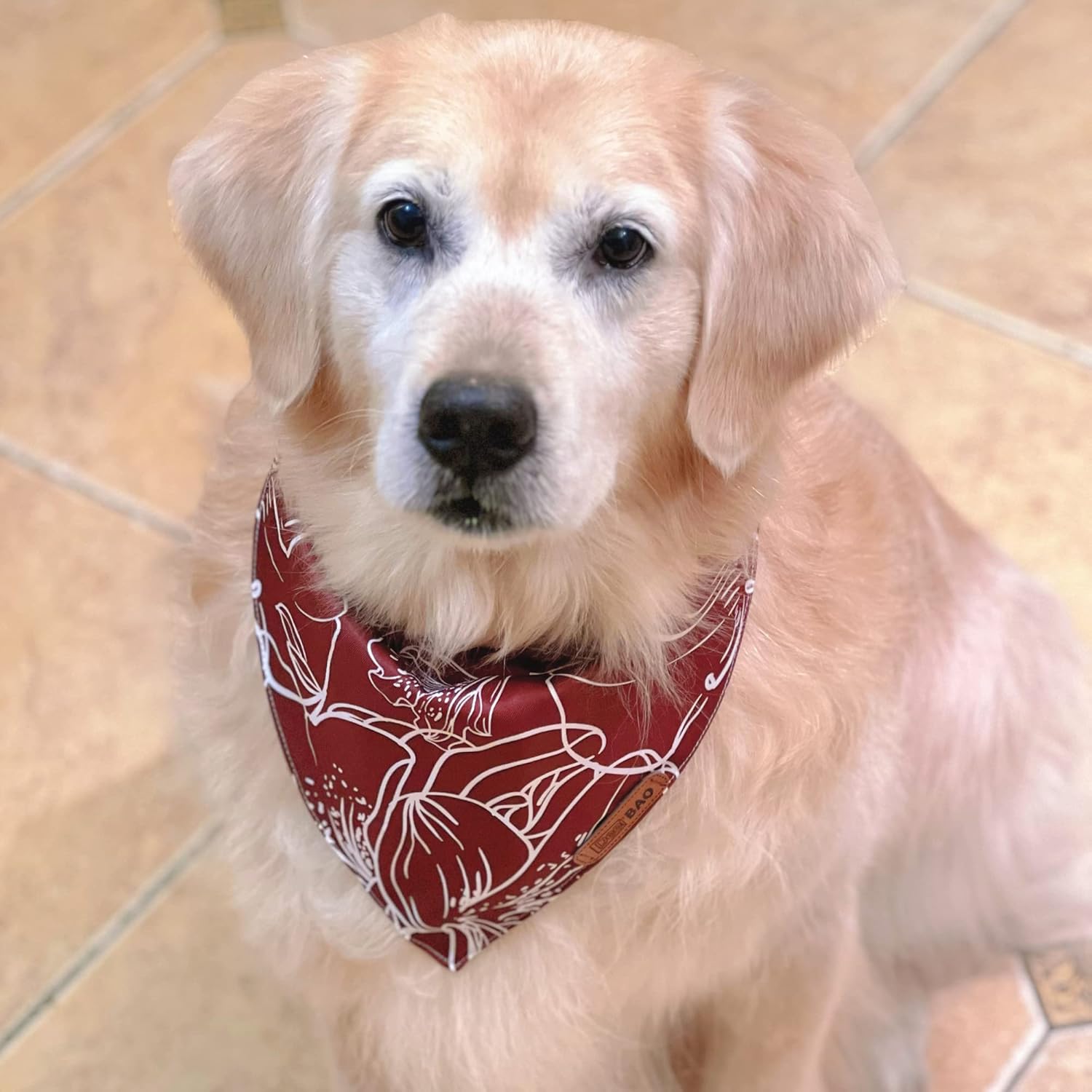 DeerBAO Pañuelos para perro, 4 unidades, bufanda para perro, bandanas para perros, tela duradera de alta calidad, ajuste ajustable, forma única,