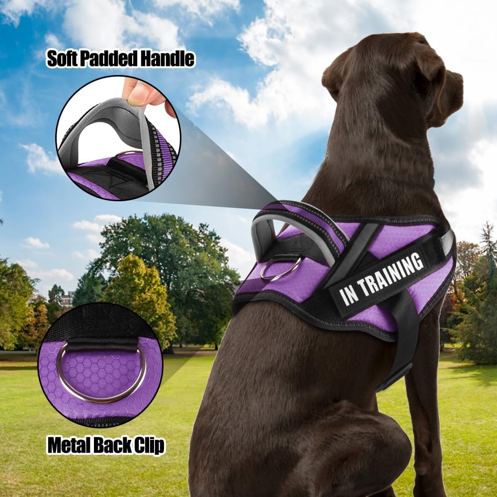 Juego de arnés de chaleco y correa para perro, arnés de entrenamiento para perro con 10 parches para perros, correa reflectante para perro con mango