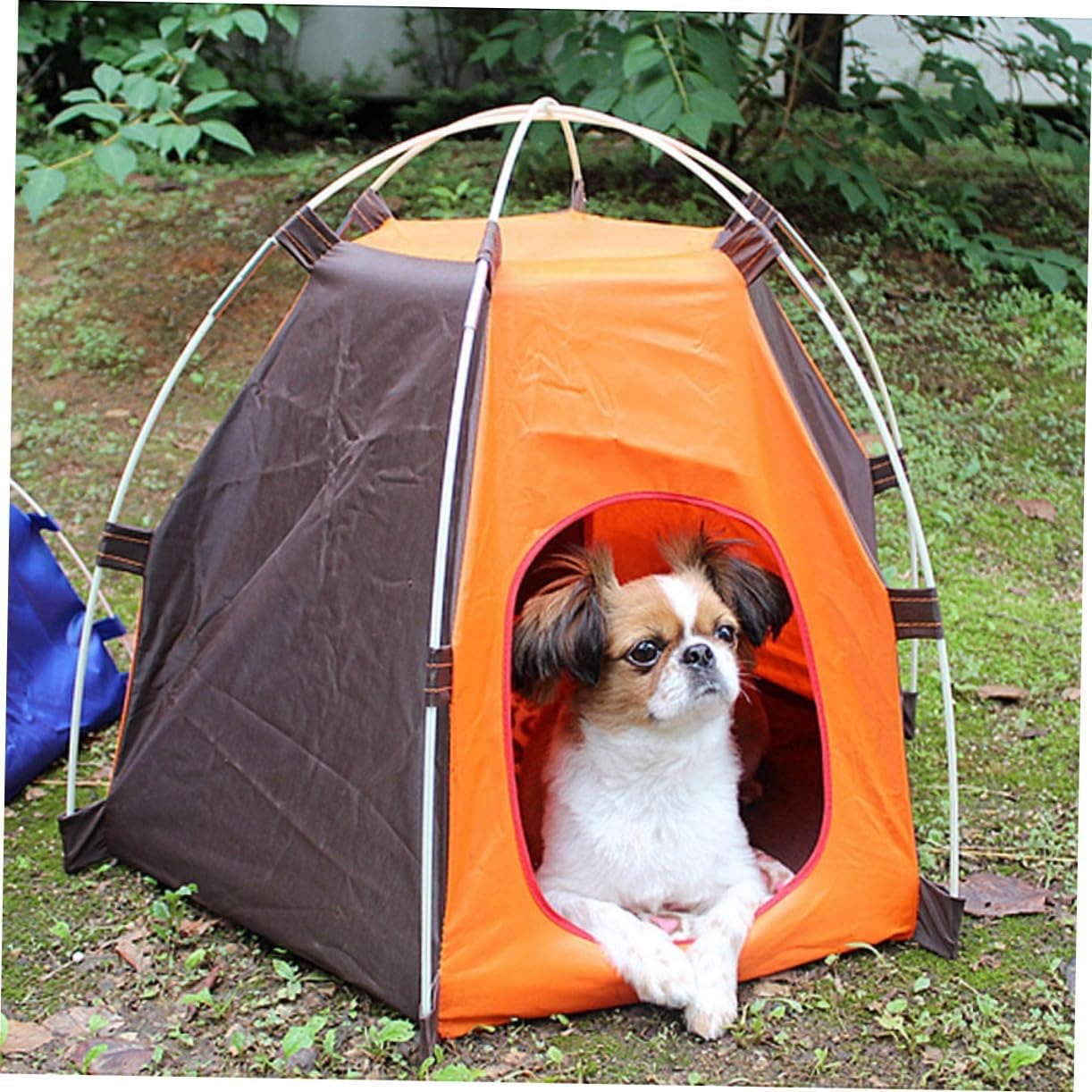 Balacoo Tienda de campaña para gatos, casa grande para perros, tiendas de campaña para perros pequeños, casa para perros, refugio al aire libre,